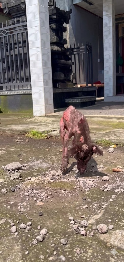 A Lonely Dog Surviving in the Middle of a Busy Market