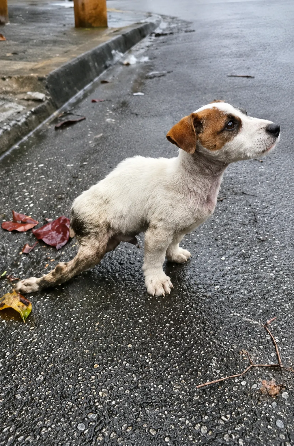 Abandoned in the Rain With No Way to Escape