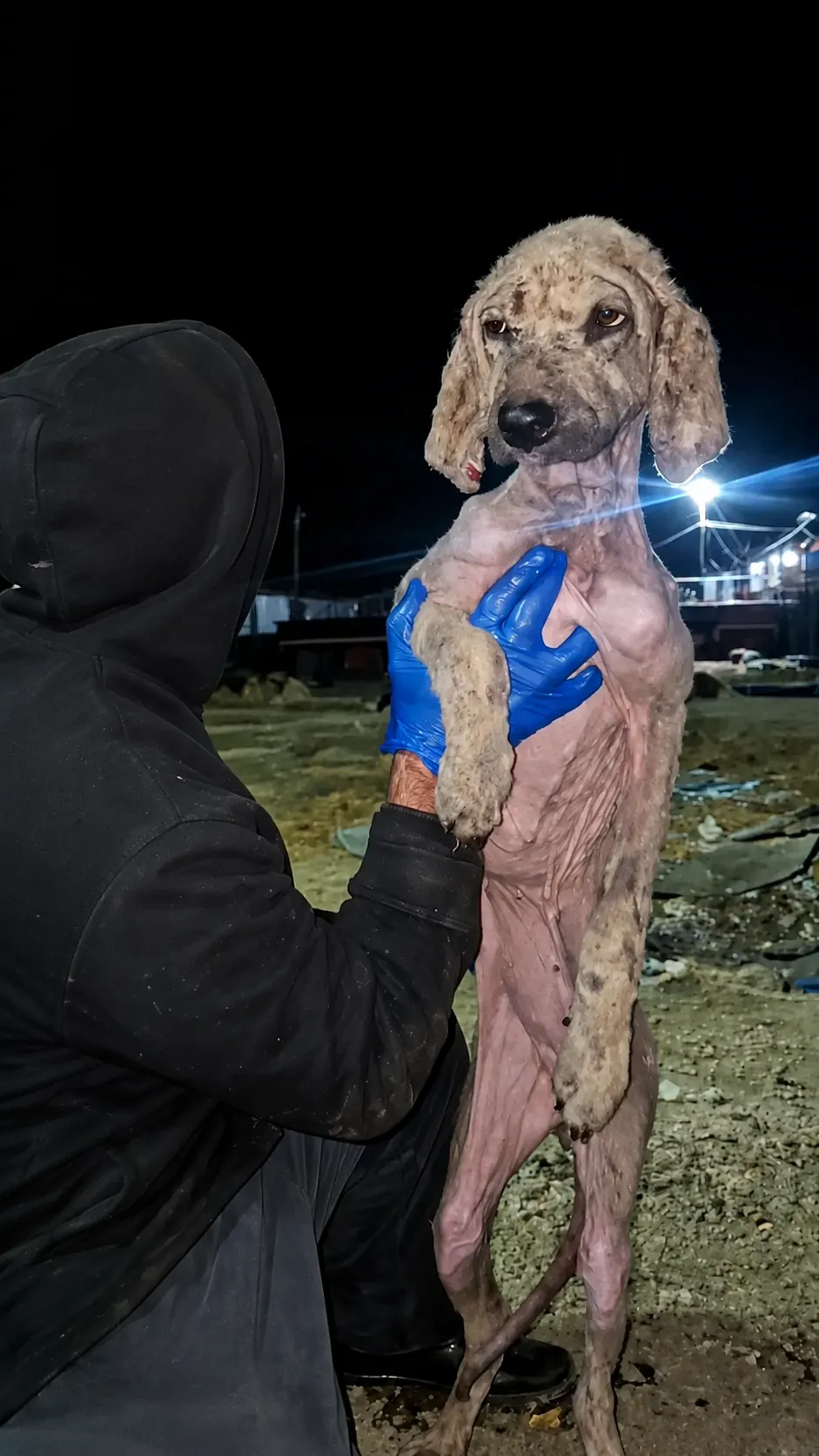 He Was Found Barely Standing in the Dark