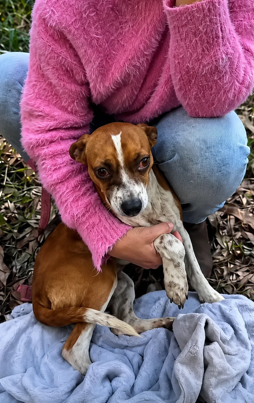 She Found a Weak Dog Lying in the Leaves