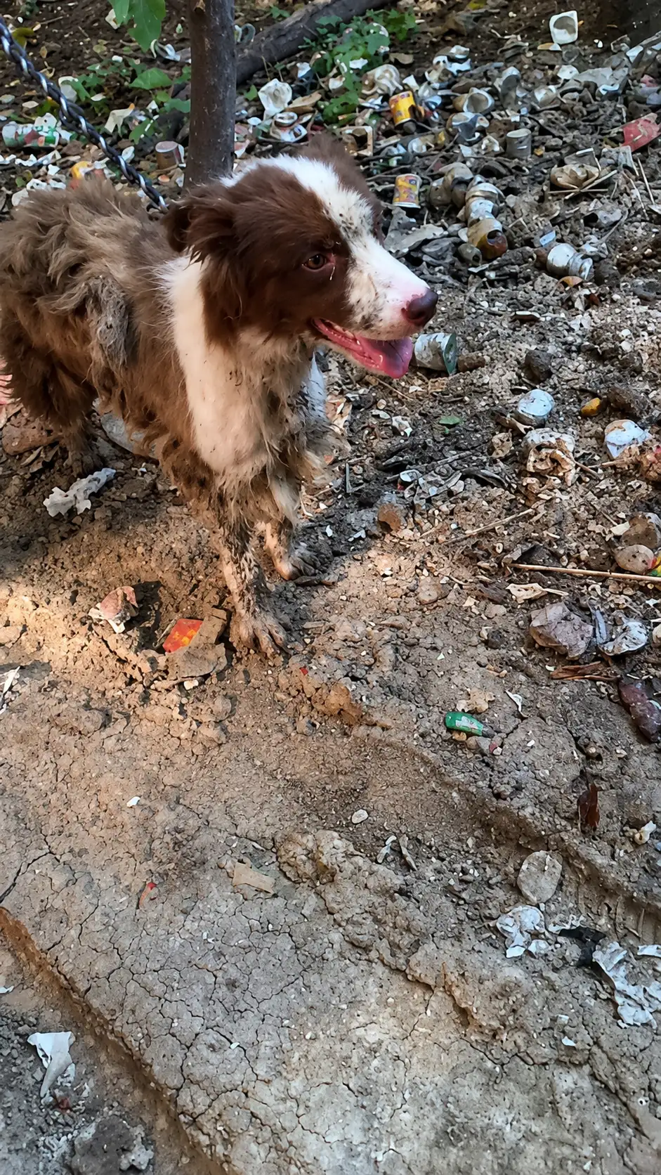 They Found Him Beside the Trash